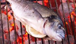 Bien cuire le poisson au barbecue 