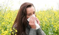 Rhume des foins : l'efficacité de la poudre dans le nez