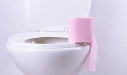 123-wc-papier-diarree-toilet-170-02.jpg