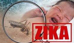 20 vragen over het Zikavirus