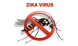 123-zika-virus-vacc-05-18.jpg