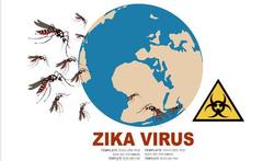 Kan het zikavirus zich binnen Europa verspreiden?