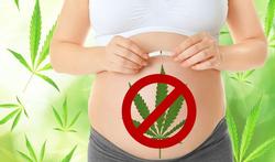 Cannabisgebruik tijdens zwangerschap vergroot kans op gedragsproblemen kind