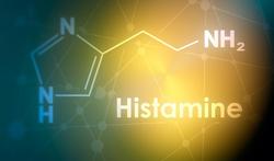 Wat is histamine en welke klachten wijzen op een intolerantie?