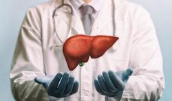 Orgaantransplantatie: nieuwe methode laat toe om organen langer te bewaren 
