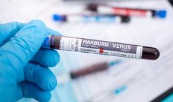 Moeten we ons zorgen maken over het marburgvirus?