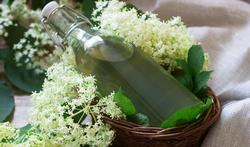 Sirop de fleurs de sureau : un remède contre les virus et les maladies respiratoires