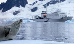 Le tourisme, le gros danger qui menace l’Antarctique