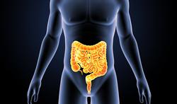 Fatigue chronique : que se passe-t-il dans les intestins ?