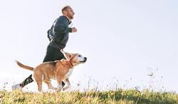 Courir avec son chien (canicross) : quels conseils ?