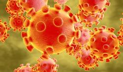 Covid-19 : que sait-on des mutations du coronavirus ?