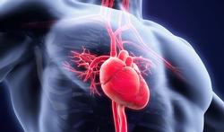 Diabète : la menace majeure de l’insuffisance cardiaque