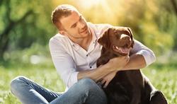 Hypertension : le chien protège son maître
