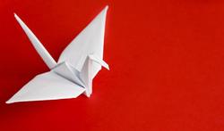 Origami : les bienfaits de l'art du pliage du papier