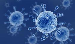 Coronavirus : comment traquer les « virus sauvages » ?