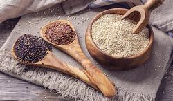 Que faut-il savoir sur le quinoa ?