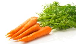 Que faut-il savoir sur la carotte nouvelle ?