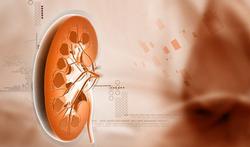 Elf gouden tips voor gezonde nieren