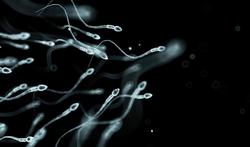 Allergie au sperme : symptômes chez l'homme et chez la femme