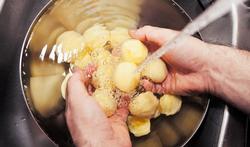 Getty_aardappelen_2025.jpg