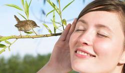 Écouter le chant des oiseaux, c’est bon pour le moral et la santé