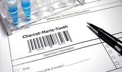La Maladie de Charcot-Marie-Tooth : paralysie progressive des membres