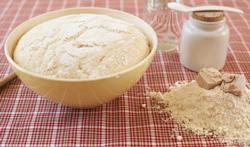 Getty_gist_brood_2025.jpg