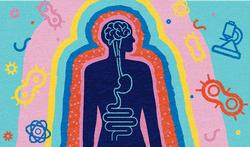 Psychobiotiques : ces bactéries intestinales qui influencent le stress, l'anxiété et l'humeur ?