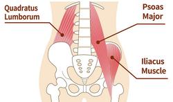 Iliopsoas syndroom: stretchen helpt tegen pijn aan heup en lies