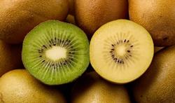 Getty_kiwi_schil_2025.jpg