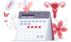 Alles over de menstruatiecyclus