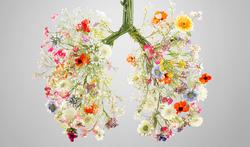 Le microbiote pulmonaire : la clé d'une bonne santé respiratoire ?