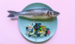 Microplastiques dans les poissons : un danger pour notre santé ?