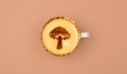 Koffie met paddenstoelen: minder cafeïne, meer voordelen?