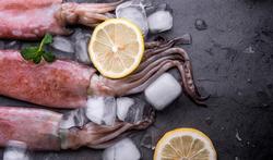 Wat is het verschil tussen pijlinktvis, zeekat en octopus?