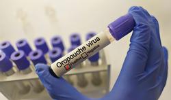 Oropouche: symptomen en verspreiding