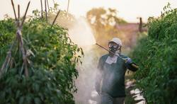 Hoe zorg je ervoor dat je zo weinig mogelijk pesticiden binnenkrijgt?