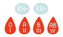 Comprendre le facteur rhésus (Rh) et l’incompatibilité des groupes sanguins