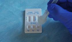 Grippe, Covid ou VRS : un autotest 4 en 1 disponible en pharmacie