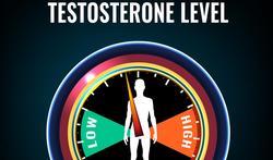 Comment augmenter son taux de testostérone naturellement ou avec des suppléments ?