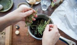 Thym contre le rhume : efficacité et contre-indications