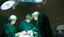 Xenotransplantatie: dieren als donor voor menselijke organen