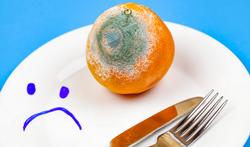 Getty_vitamine_C_orange_sinaasappel_2025.jpg
