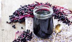 Baies de sureau : bienfaits, toxicité, recette