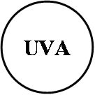 UVA-140.jpg