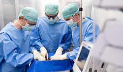 Greffe d’organe : un foie humain transplanté après trois jours hors du corps