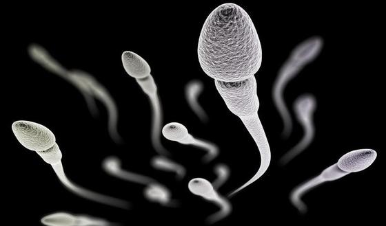 Avaler du sperme réduit-il le risque de fausse couche ...