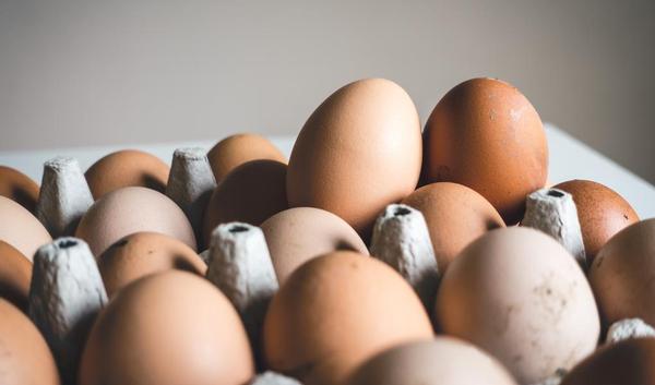 Schaduw vork mannetje Eieren bewaren: in de koelkast of niet? | gezondheid.be
