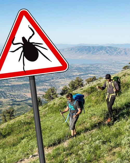 ad_teken_hike2.jpg