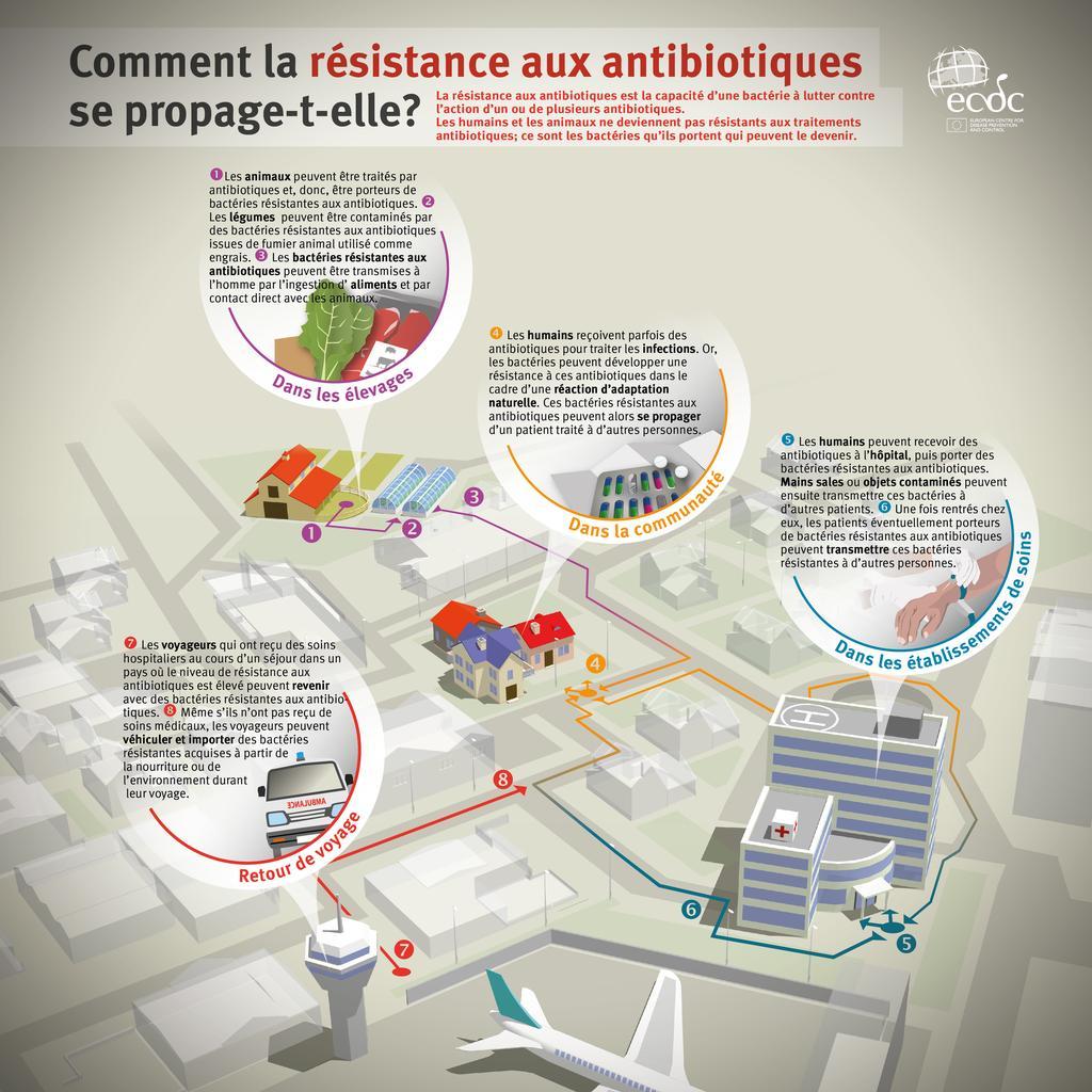 antibiotic-resistance-spread-FR.jpg